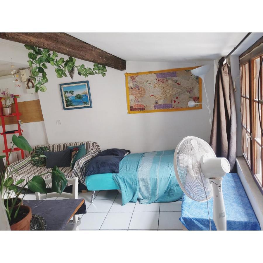 Appartement Cosy Au Coeur De מונפלייה מראה חיצוני תמונה
