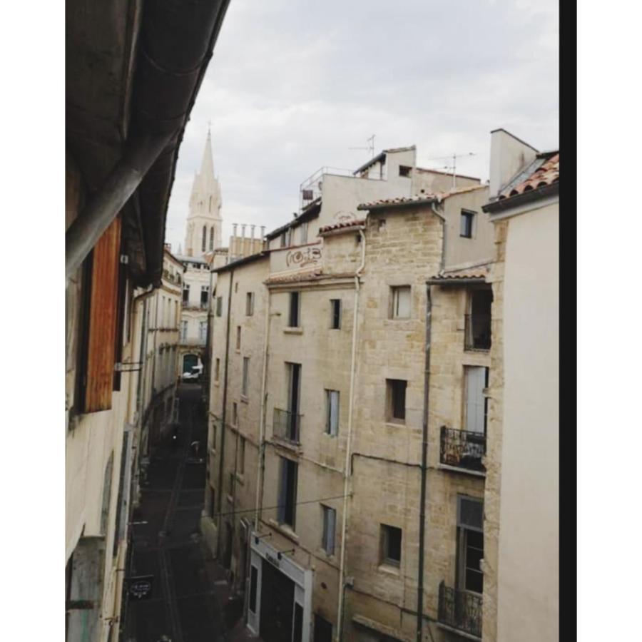 Appartement Cosy Au Coeur De מונפלייה מראה חיצוני תמונה